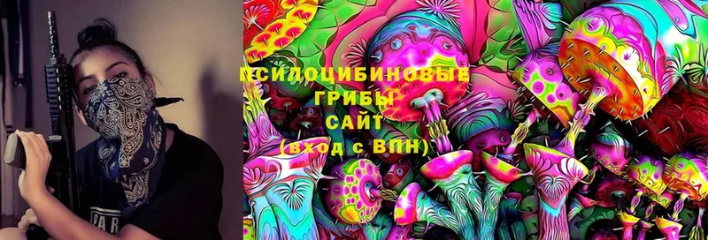 Псилоцибиновые грибы Psilocybine cubensis  Белоозёрский 